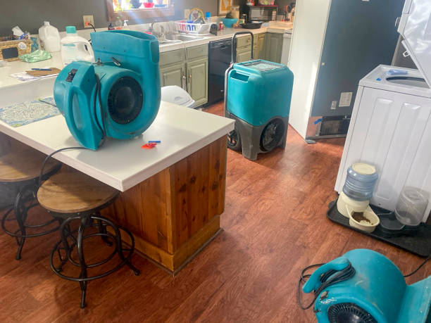 Best 24/7 water damage repair  in Somerdale, NJ